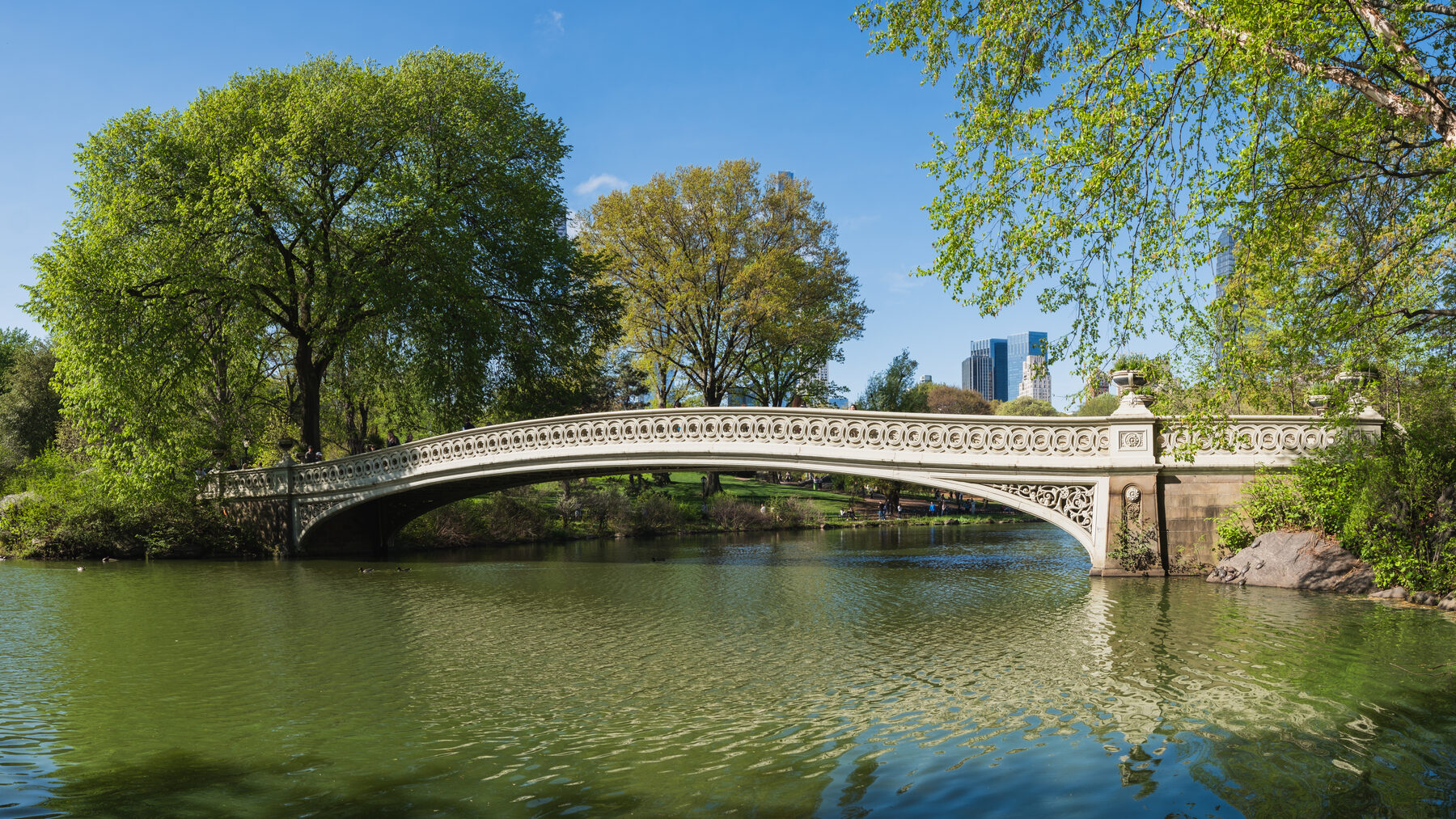 Bow Bridge surrounded by Central Park scenery