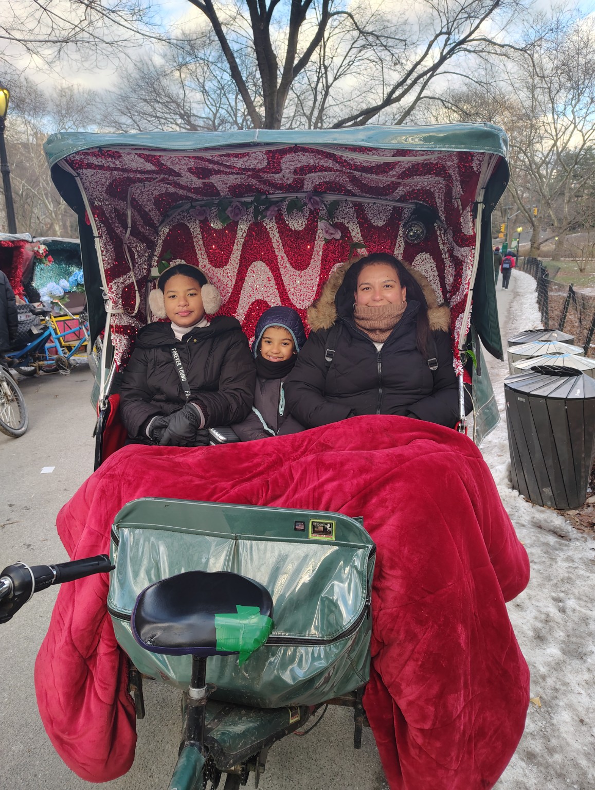 A family enjoying a winter pedicab ride in Central Park